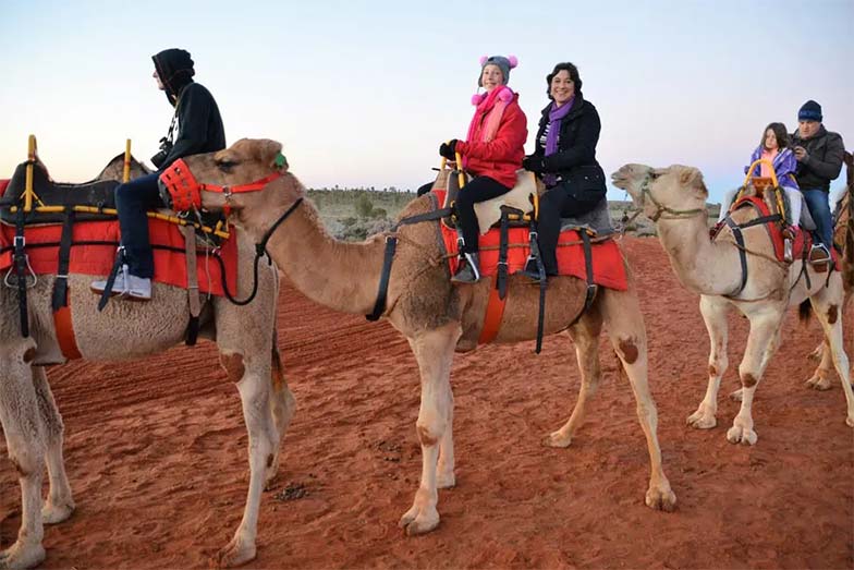 Uluru Camel Tour