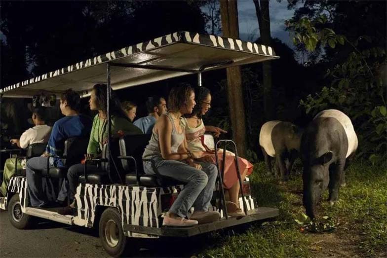 The Night Safari Image Singapore Tourism