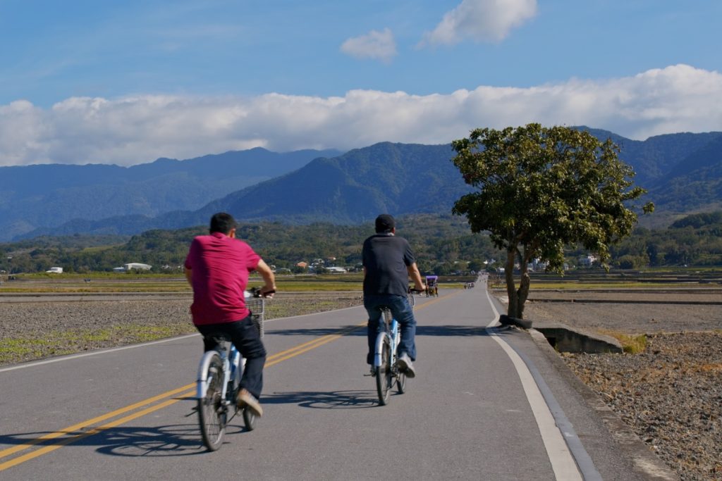 Cycling through rice fields in Chishang, Taitung. Image leungchopan Shutterstock