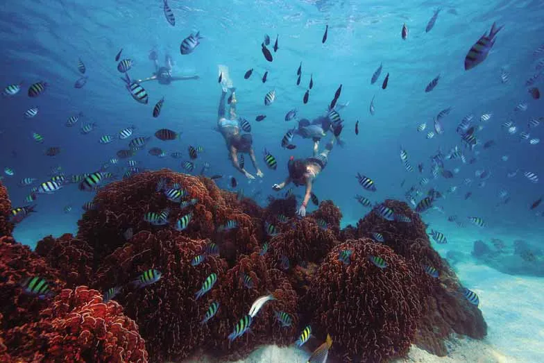 4. Go snorkelling during a stay at Six Senses Fiji