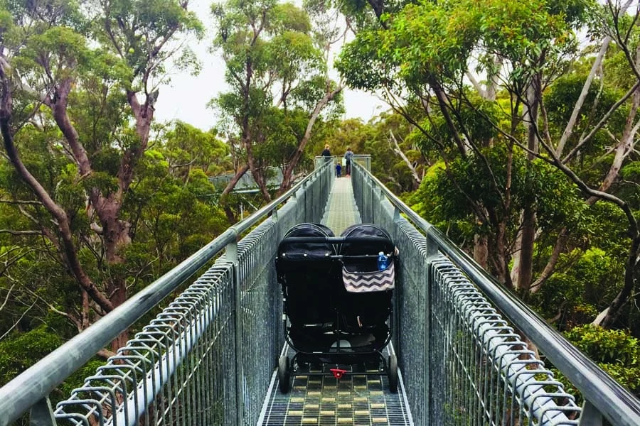 the double pram only just fits in some places. image robin esrock 1