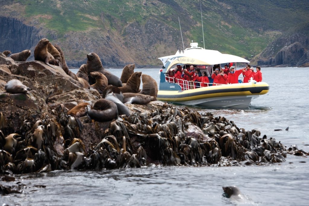 Bruny Island Cruises with Pennicott Wilderness Journeys. Image Joe Shemesh Tourism Tasmania