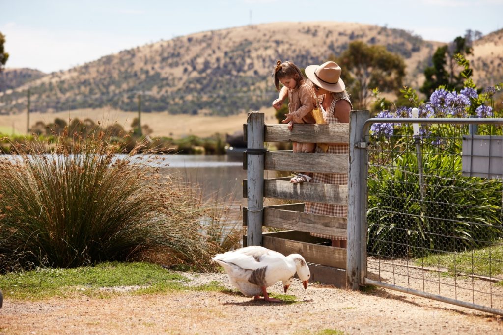 Mum and daughter feed the ducks at Puddleduck Vineyard in Southern Tasmania. Image Tourism Australia