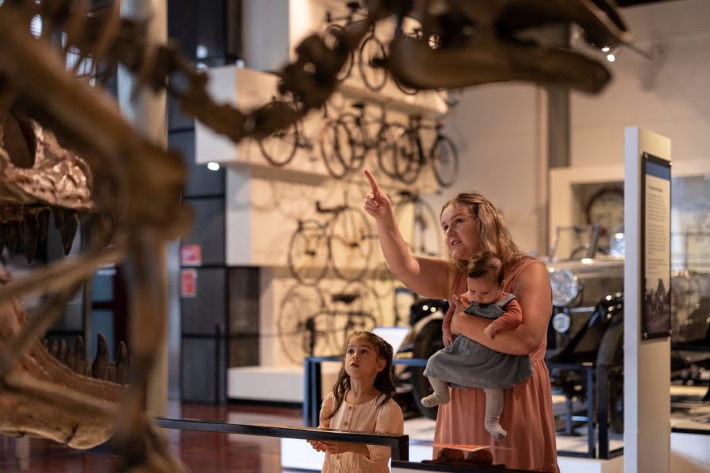 Queen Victoria Museum and Art Gallery in Launceston. Image Tourism Australia