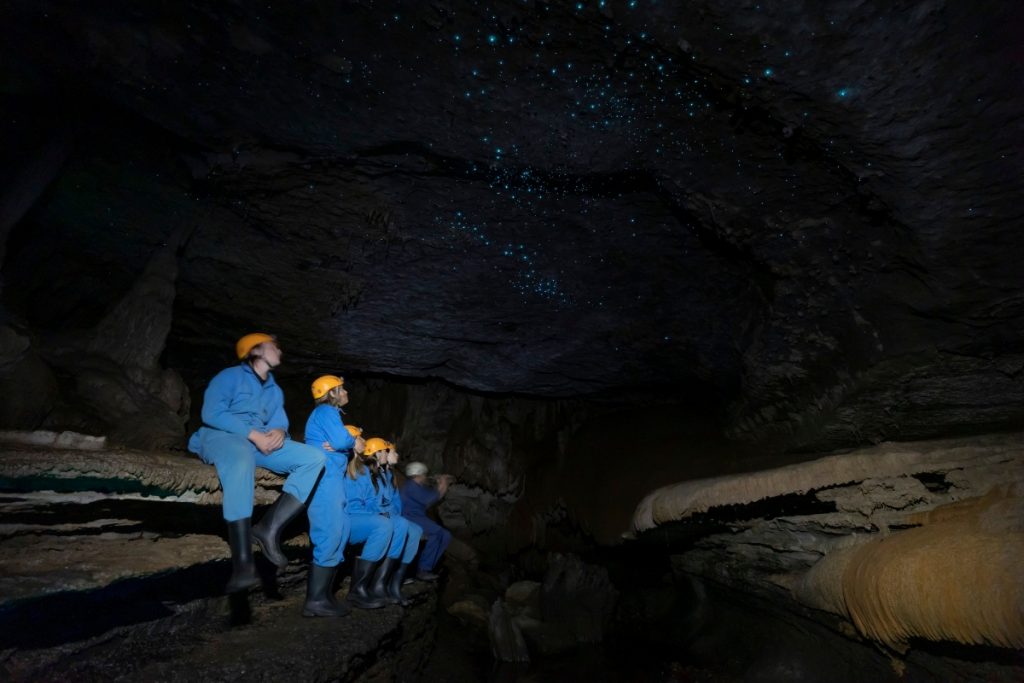See glow worms in Mole Creek's caves with Wild Cave Tours. Image Tourism Australia