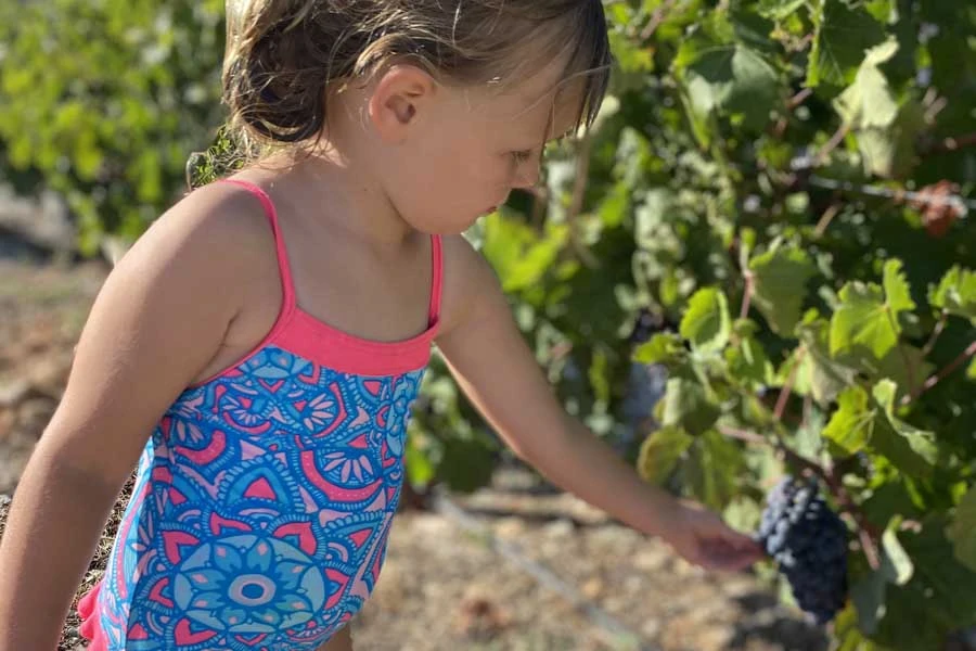 leni picking grapes at anemi hotel on folegandros