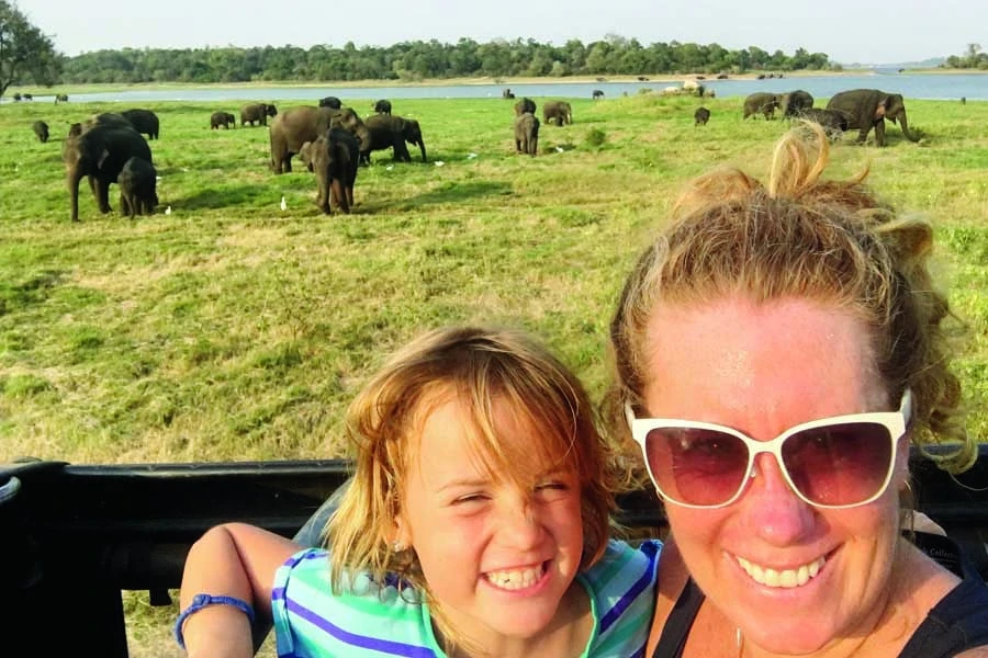 well never forget seeing wild elephants at minneriya