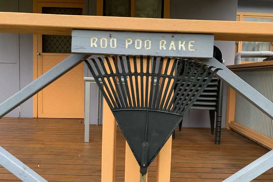 a roo poo rake at durras lake north holiday park