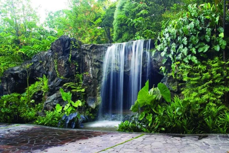 a waterfall in singapore botanic gardens e1632590779546
