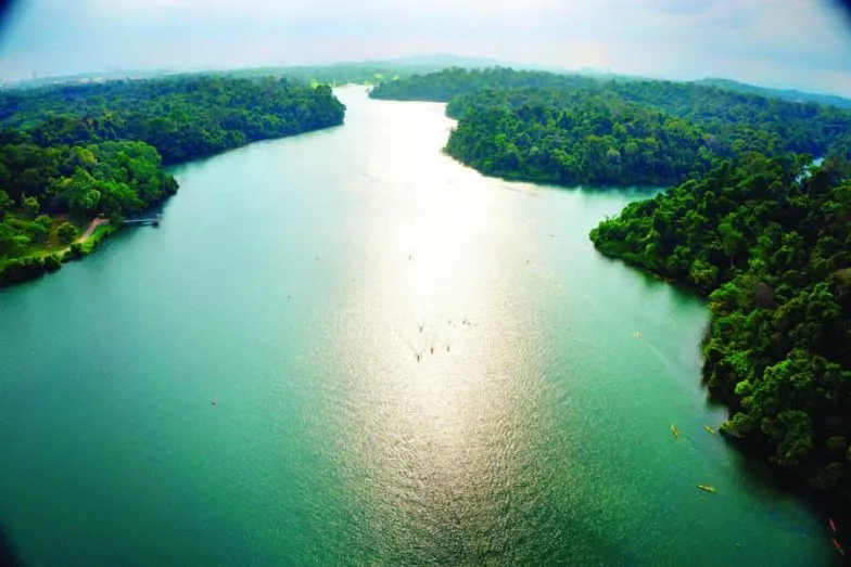 an aerial view of macritchie reservoir park. image by darren soh e1632590833498