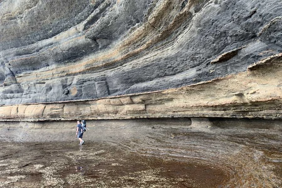 hiking along the cliffs at durras north with oliver in a carrier