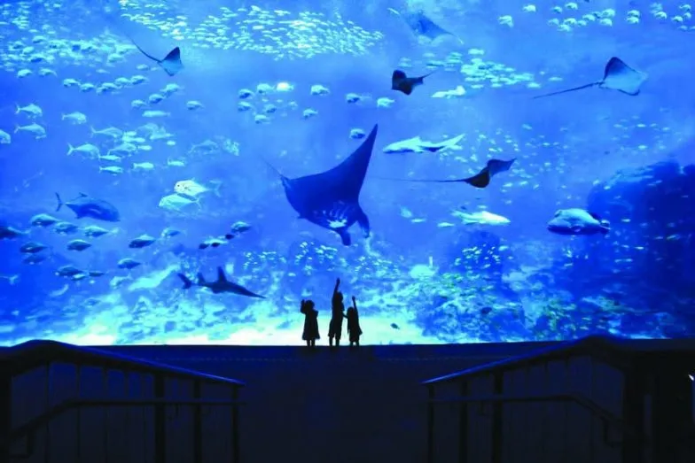 sea aquarium e1632590709110
