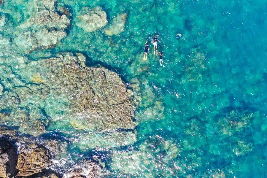 snorkelling around great keppel island