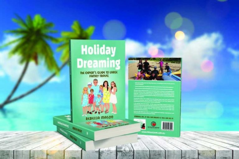 holiday dreaming book covers