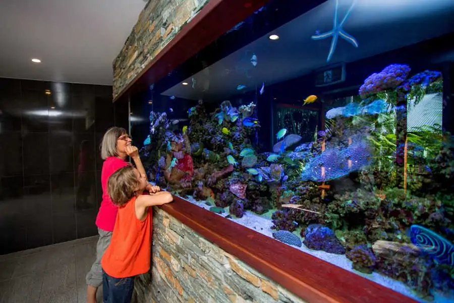 the aquarium at big4 gold coast holiday park