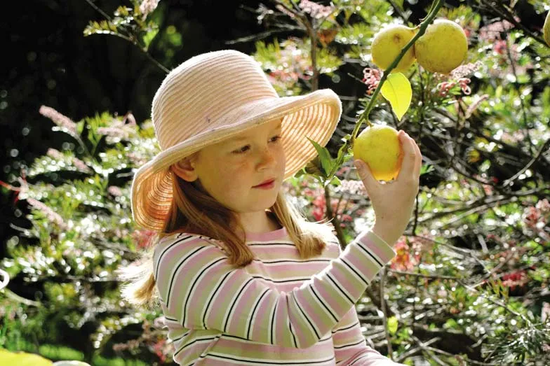 A girl picking fruit in Queenslands Granite Belt. Image Tourism and Events Queensland
