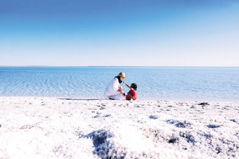 Shell Beach Conservation Park south east of Denham. Image Tourism Western Australia