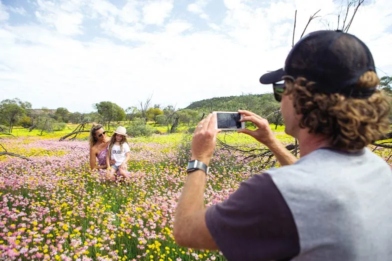 Wildflowers in Coalseam Conservation Park. Image Tourism Western Australia