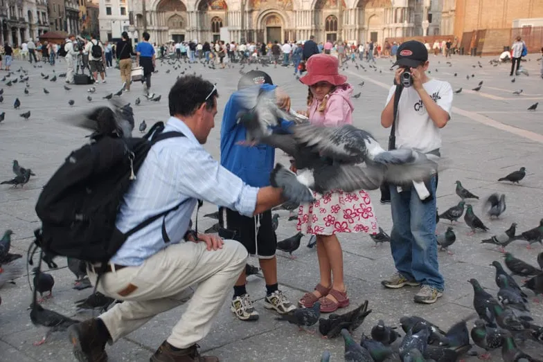 Feeding the pigeons in Piazza san Marco