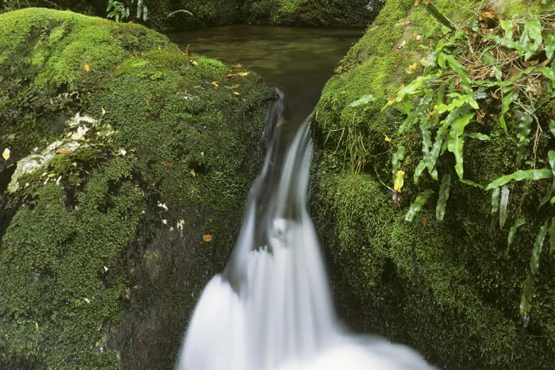 A waterfall in Barrington Tops National Park. Image Jeffrey Drewitz Destination NSW