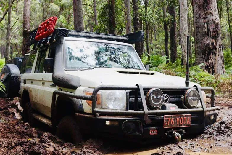 Stuck in the mud. Image Izumi Hooper