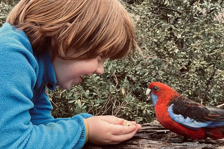 Jasper meeting the birdlife at Eight Acres