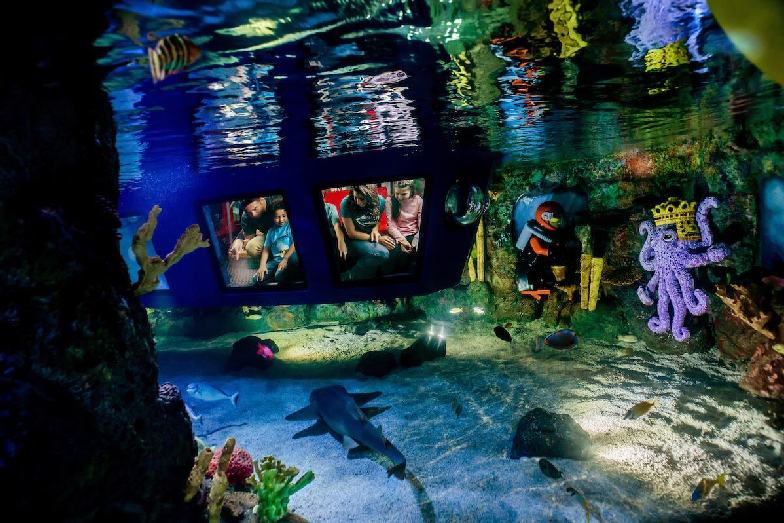 Enjoy an underwater world on submarine ride LEGO CITY: Deep Sea Adventure in California. Image: The LEGO Group