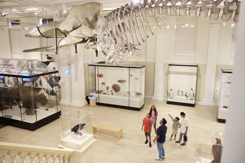 A family exploring the Australian Museum in Sydney. Image: Destination NSW