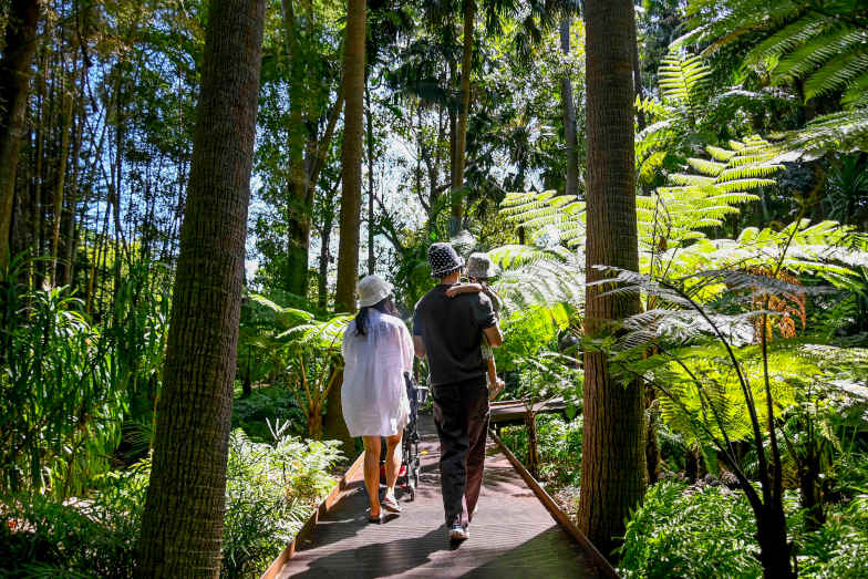 Royal Botanic Gardens Melbourne. Image Visit Victoria
