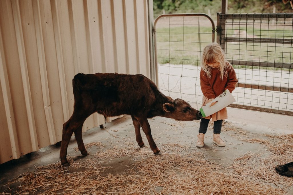 Children can feed the animals at Hosanna Farmstay