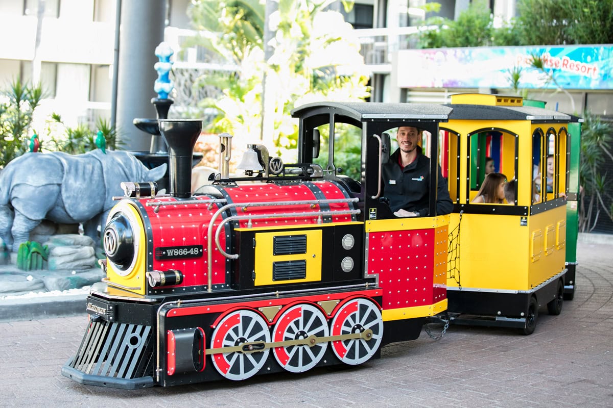 Dusty's Safari Train