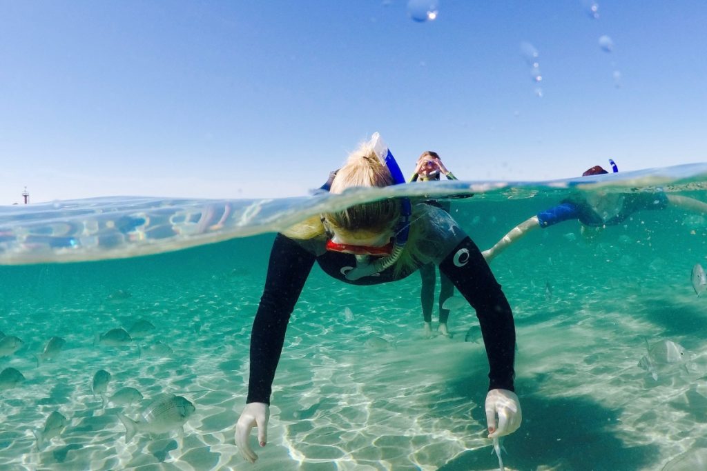 A group snorkelling underwater with fish at Australian Kayaking Adventures. Image Experience Gold Coast
