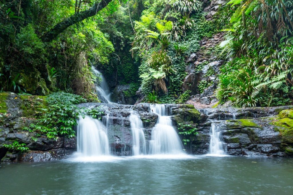 Elabana Falls in Lamington National Park, Gold Coast Hinterland. Image Experience Gold Coast