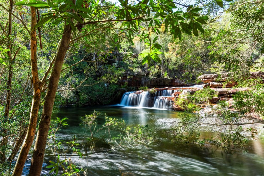 Winifred Falls, part of South West Arm Creek in the Royal National Park, NSW. Image Kytabu Wikimedia Commons licensed under CC BY SA 4.0