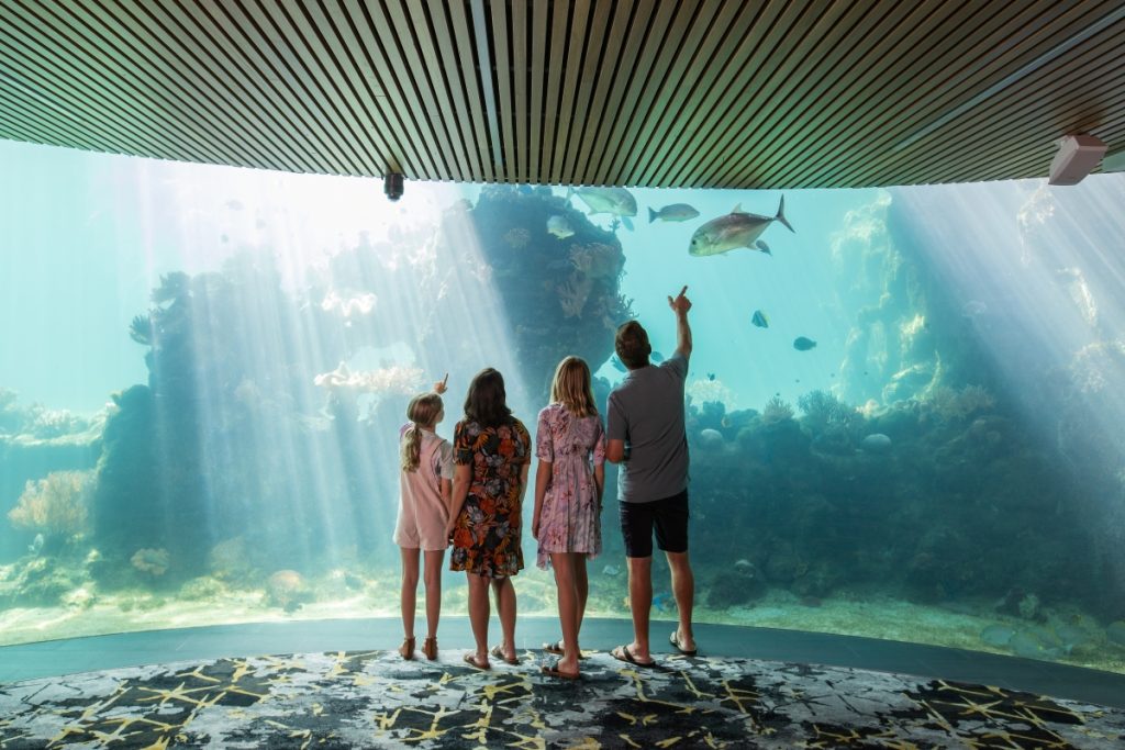 Family enjoying the Living Reef at Daydream Island Resort. Image Tourism Whitsundays