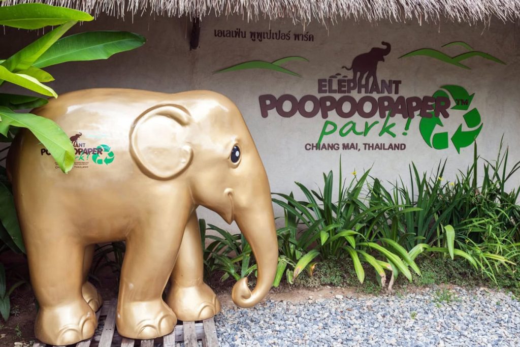 Elephant Poopoopaper Park is an museum park focused on introducing involved in making paper products from elephant poo 3 2